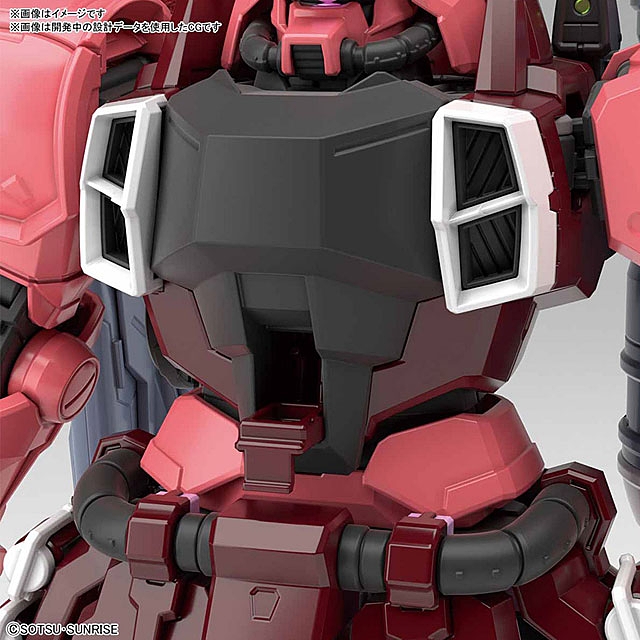 Bandai 1/100 MG Gunner Zaku Warrior Gundam (Lunamaria Hawke Custom)