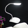 Gooseneck LED Desk Lamp