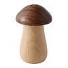 Mushroom Wooden Toothpick Box