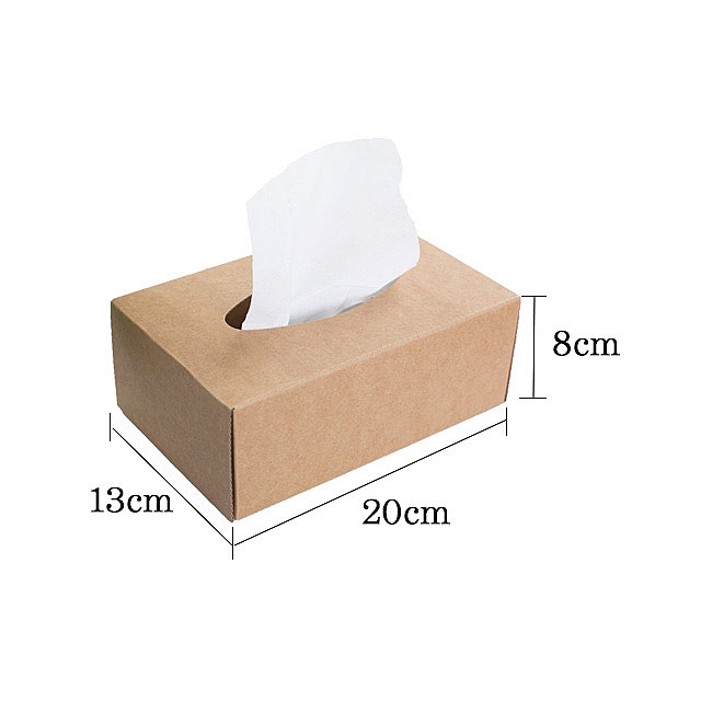 DIY Kraft Paper Tissue Box