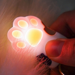 Cute Paw Illuminated Keychain
