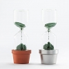 Plant Magnetic Sand Hourglass