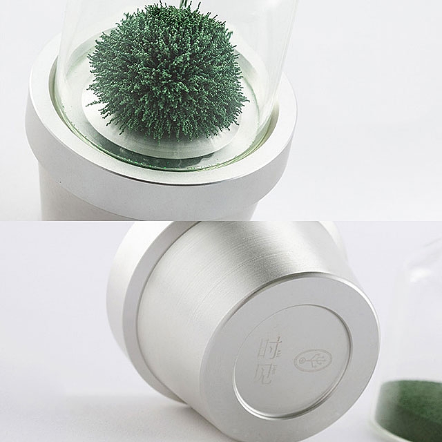 Plant Magnetic Sand Hourglass