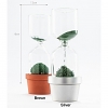 Plant Magnetic Sand Hourglass