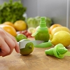 Citrus Sprayer Lemon/Lime Set