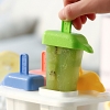 4-Popsicle Mold