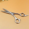 Pet 6-inch Straight Scissor