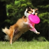 Pet Dog Bite Resistant Soft Frisbee