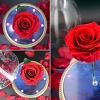 Beauty and the Beast Enchanted Rose Bluetooth Speaker